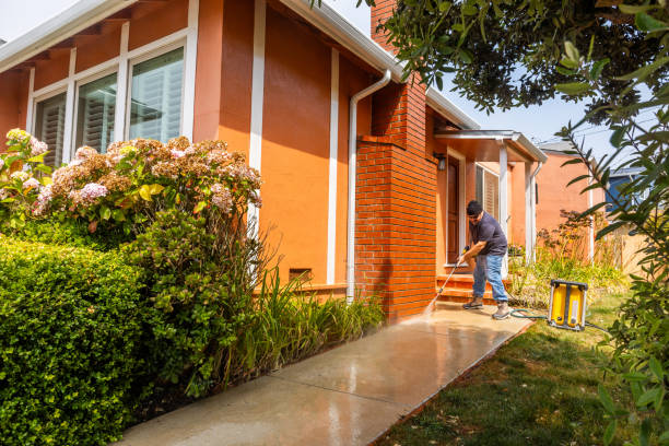 Best House Pressure Washing  in Rendon, TX