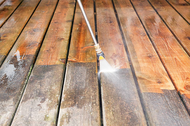 Best Roof Pressure Washing  in Rendon, TX