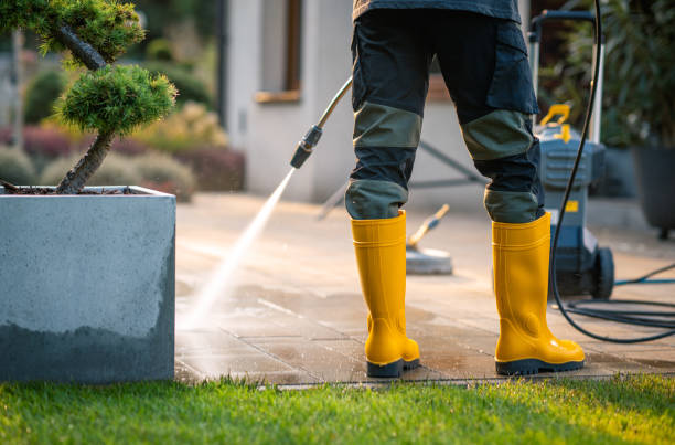 Best Pressure Washing Company Near Me  in Rendon, TX